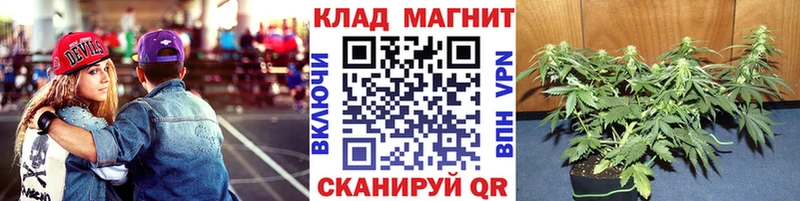 Наркотические вещества Жуковский МАРИХУАНА  APVP  ГАШИШ 
