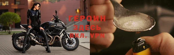 сатива Ессентукская