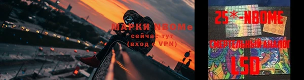 mdpv Новосибирск