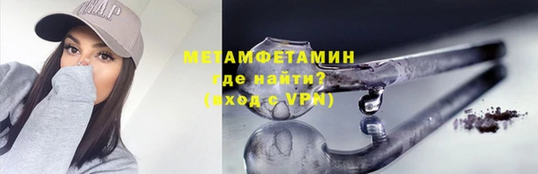 сатива Ессентукская