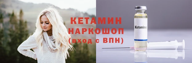 сатива Ессентукская