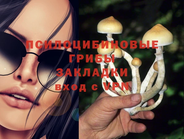mdpv Новосибирск