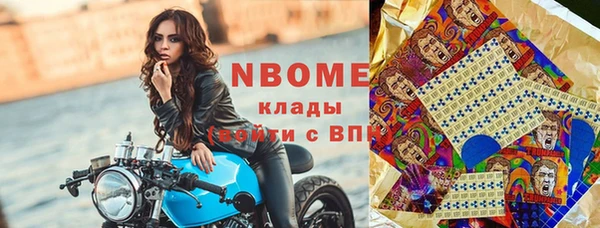 сатива Ессентукская