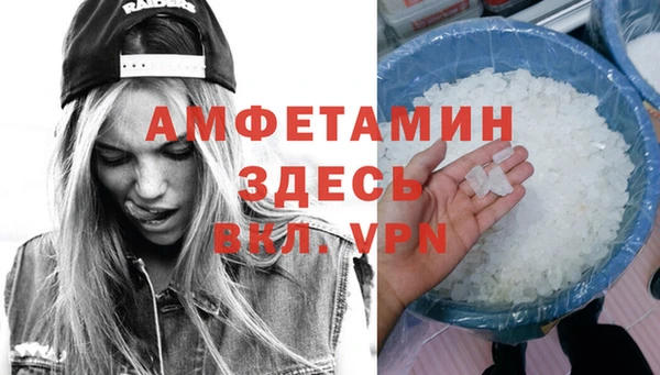 сатива Ессентукская