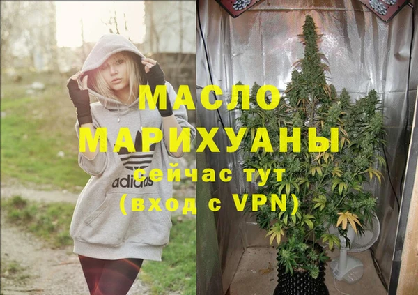 сатива Ессентукская