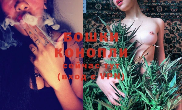 сатива Ессентукская