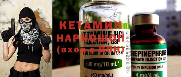 сатива Ессентукская
