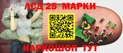 молекула духа Гагарин