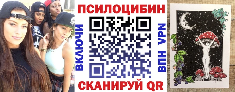 закладки  Жуковский  Псилоцибиновые грибы ЛСД 