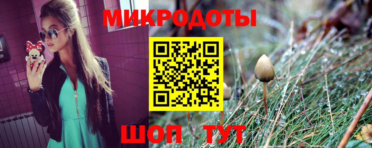 Галлюциногенные грибы ЛСД  продажа наркотиков  Вход с VPN  Жуковский  Галлюциногенные грибы Magic Shrooms 